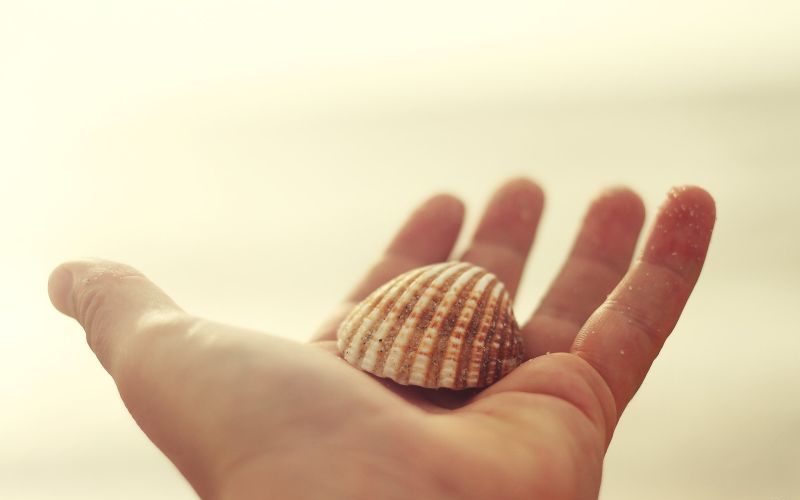 Kurzajki - co na kurzajki - domowe-sposoby.pl