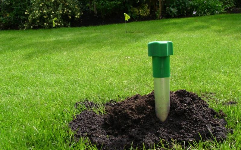 Jak pozbyć się kretów z ogródka? Domowe-sposoby.pl