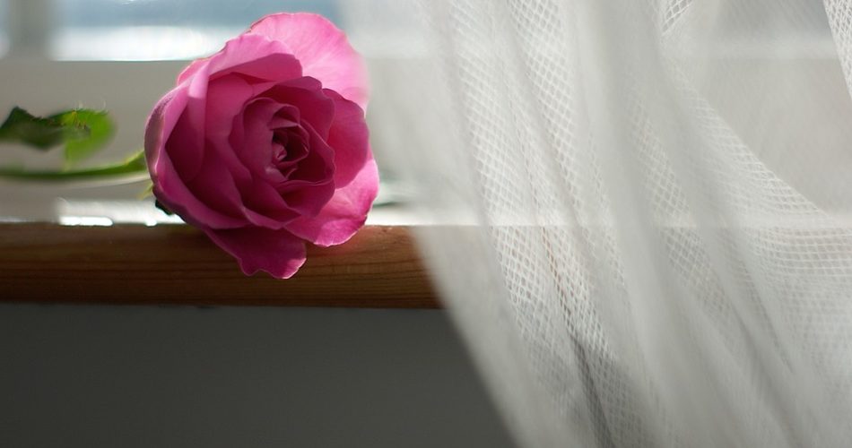 Białe firanki - jak je wybielić - domowe-sposoby.pl