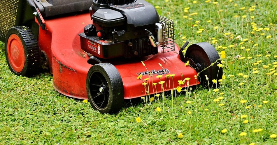 Jak kosić trawę